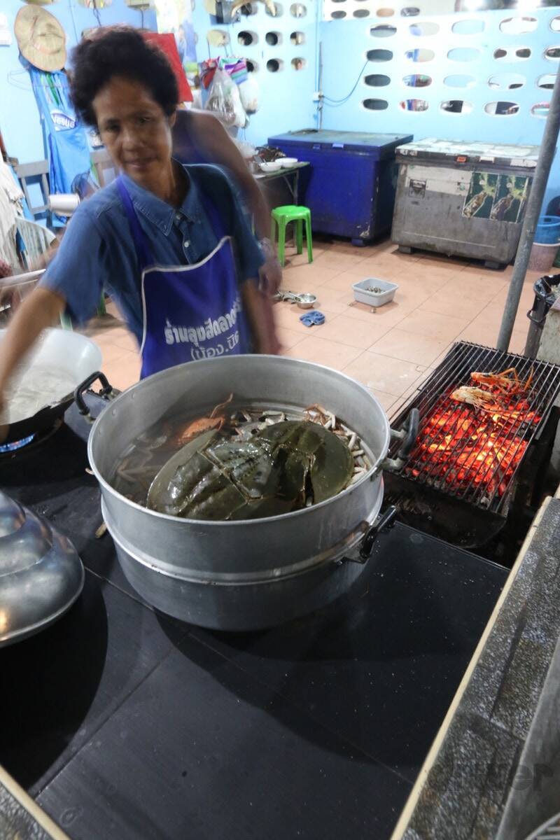 太古より生き続けるカブトガニの脱皮殻をスケスケ写!?「三好秀昌のニッポン探訪・取材ウラ話　第19回〜カブトガニ」