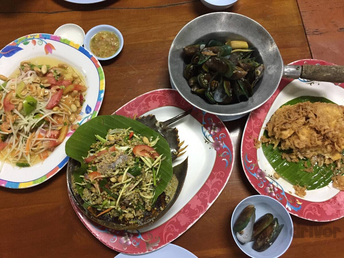 太古より生き続けるカブトガニの脱皮殻をスケスケ写!?「三好秀昌のニッポン探訪・取材ウラ話　第19回〜カブトガニ」