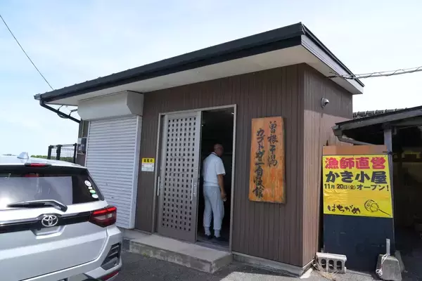 「太古より生き続けるカブトガニの脱皮殻をスケスケ写!?「三好秀昌のニッポン探訪・取材ウラ話　第19回〜カブトガニ」」の画像