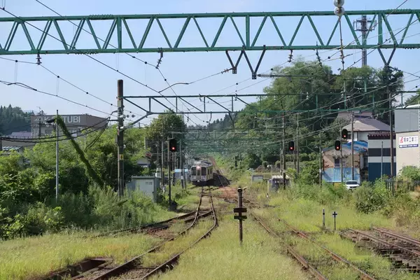 「かわいさ満点の雛鳥をニコニコ写！「三好秀昌のニッポン探訪・取材ウラ話　第20回〜チゴハヤブサ」」の画像