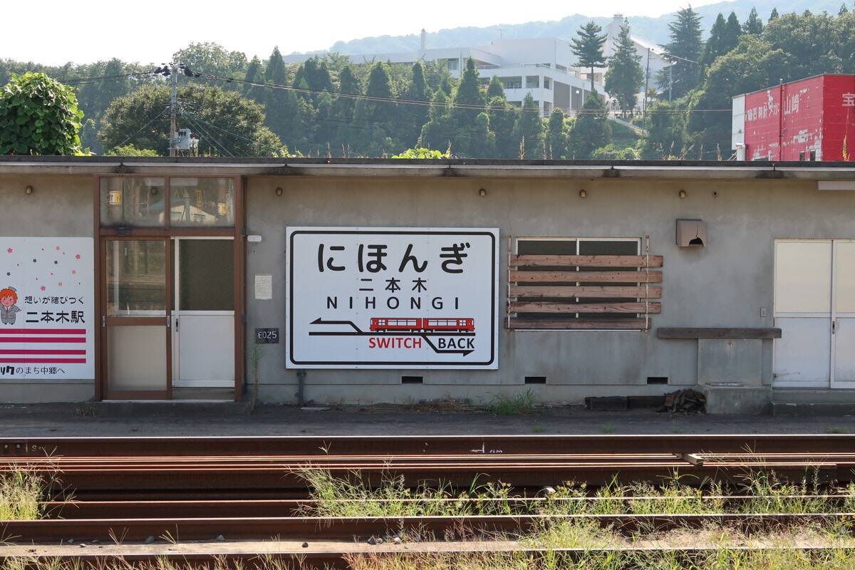 かわいさ満点の雛鳥をニコニコ写！「三好秀昌のニッポン探訪・取材ウラ話　第20回〜チゴハヤブサ」