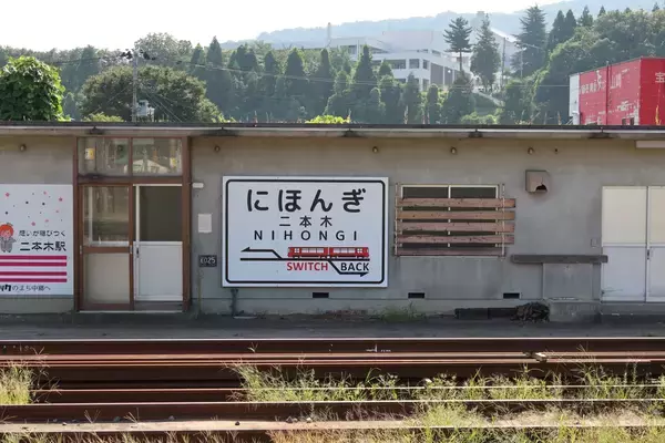 「かわいさ満点の雛鳥をニコニコ写！「三好秀昌のニッポン探訪・取材ウラ話　第20回〜チゴハヤブサ」」の画像