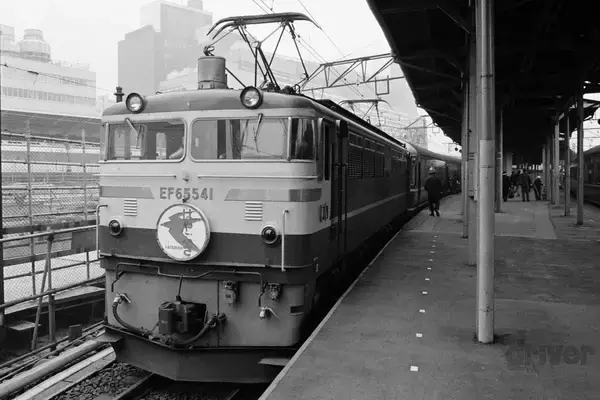 「かわいさ満点の雛鳥をニコニコ写！「三好秀昌のニッポン探訪・取材ウラ話　第20回〜チゴハヤブサ」」の画像