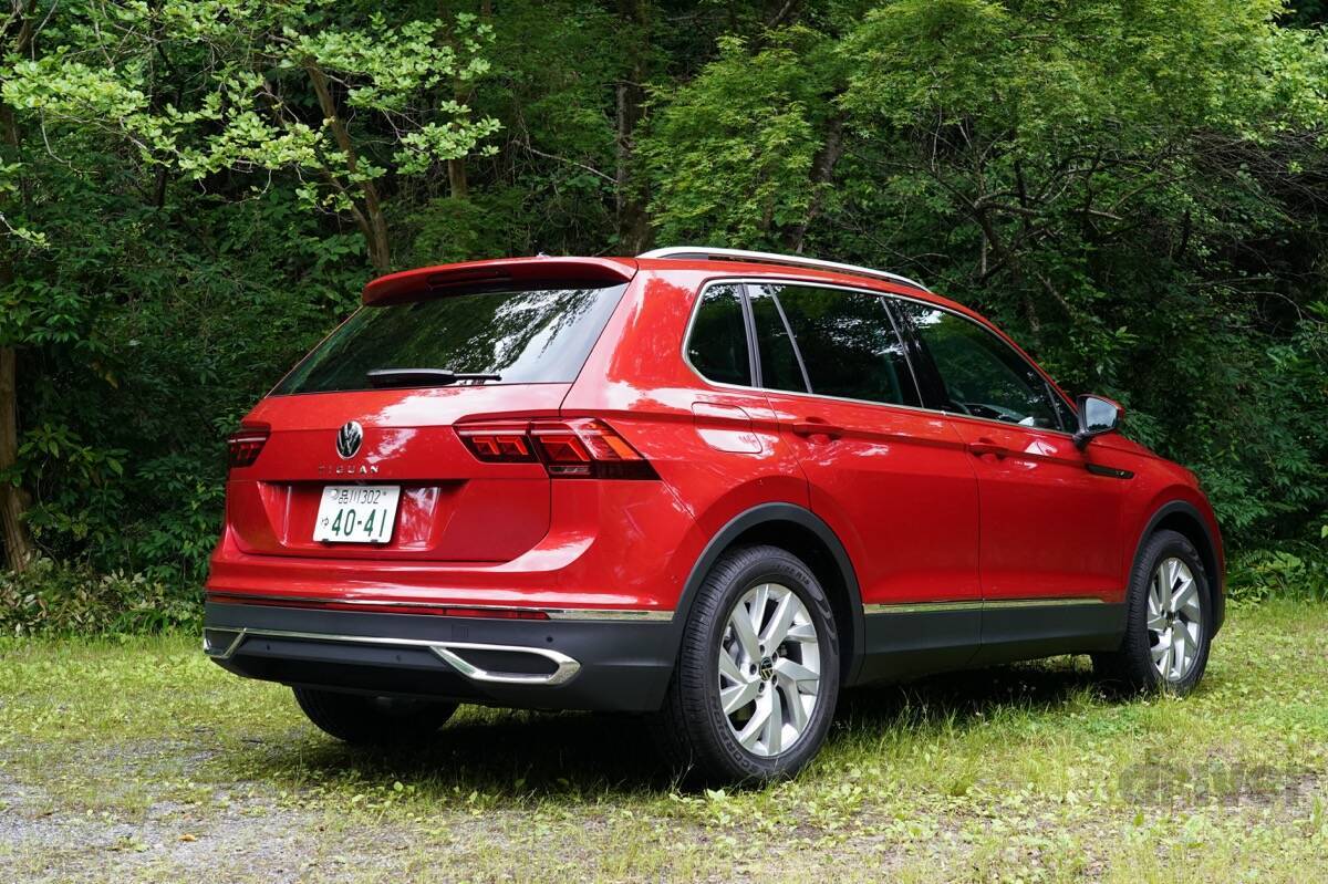 かわいさ満点の雛鳥をニコニコ写！「三好秀昌のニッポン探訪・取材ウラ話　第20回〜チゴハヤブサ」