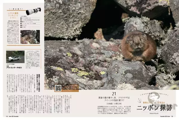 「標高1252ｍの山頂でナキウサギをモグラたたき写!?「三好秀昌のニッポン探訪・取材ウラ話　第21回〜ナキウサギ」」の画像