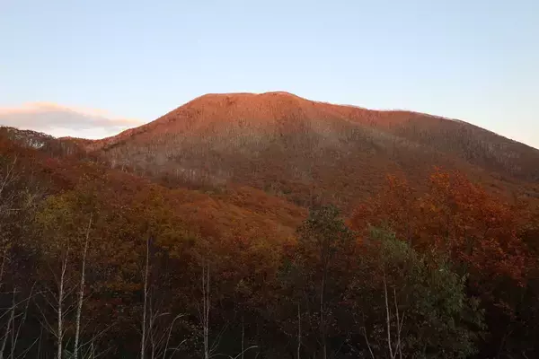 「標高1252ｍの山頂でナキウサギをモグラたたき写!?「三好秀昌のニッポン探訪・取材ウラ話　第21回〜ナキウサギ」」の画像