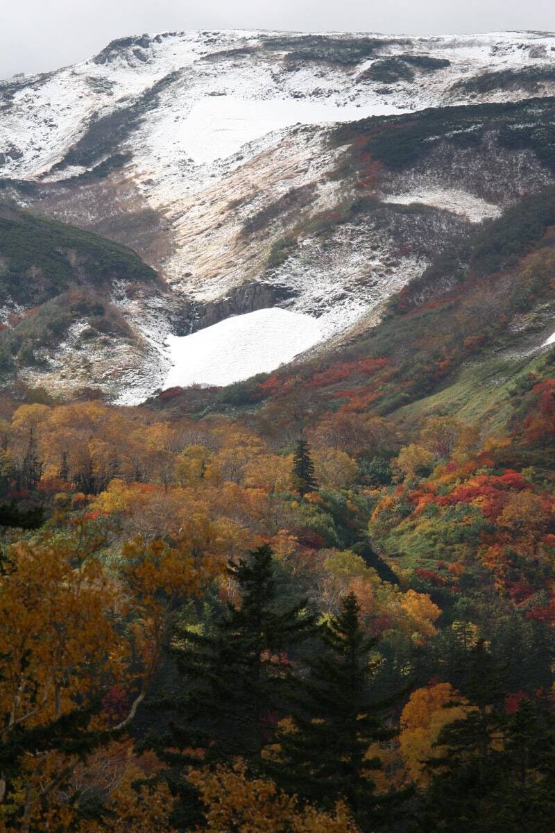 標高1252ｍの山頂でナキウサギをモグラたたき写!?「三好秀昌のニッポン探訪・取材ウラ話　第21回〜ナキウサギ」