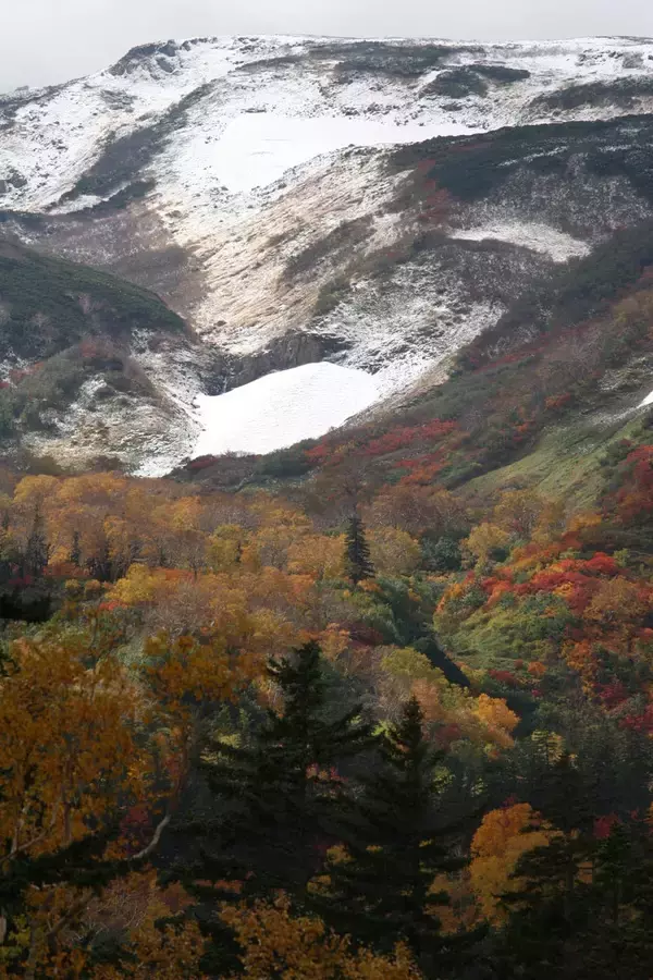 「標高1252ｍの山頂でナキウサギをモグラたたき写!?「三好秀昌のニッポン探訪・取材ウラ話　第21回〜ナキウサギ」」の画像