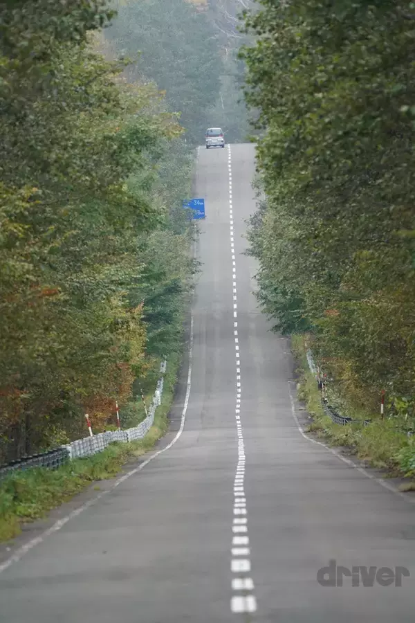 「標高1252ｍの山頂でナキウサギをモグラたたき写!?「三好秀昌のニッポン探訪・取材ウラ話　第21回〜ナキウサギ」」の画像