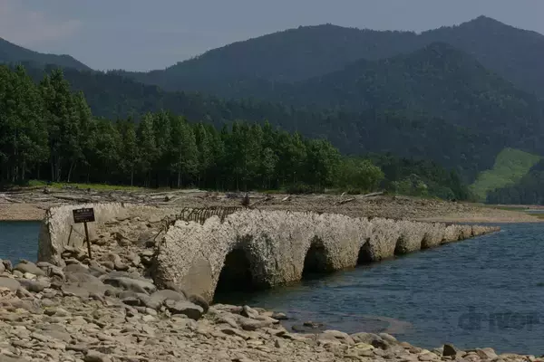 「標高1252ｍの山頂でナキウサギをモグラたたき写!?「三好秀昌のニッポン探訪・取材ウラ話　第21回〜ナキウサギ」」の画像