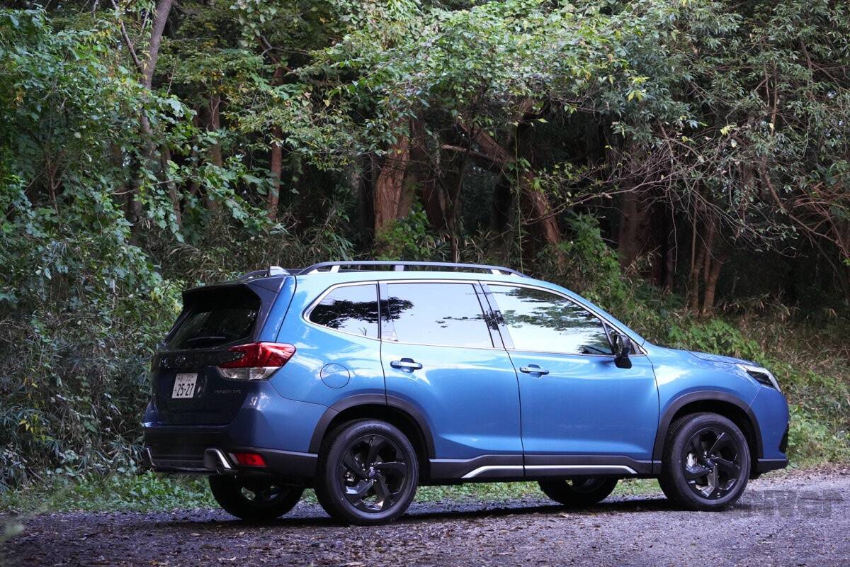 数撃ちゃ当たる作戦でカモシカを連射！「三好秀昌のニッポン探訪・取材ウラ話　第22回〜カモシカ」