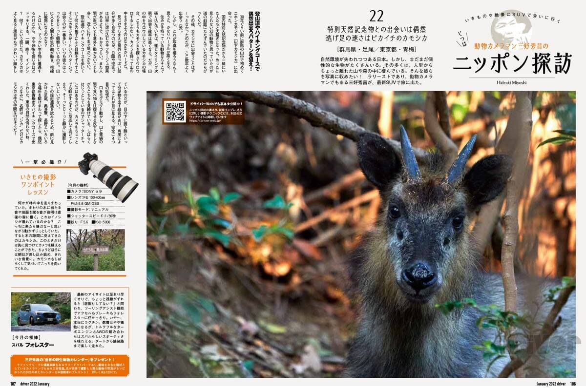 数撃ちゃ当たる作戦でカモシカを連射！「三好秀昌のニッポン探訪・取材ウラ話　第22回〜カモシカ」