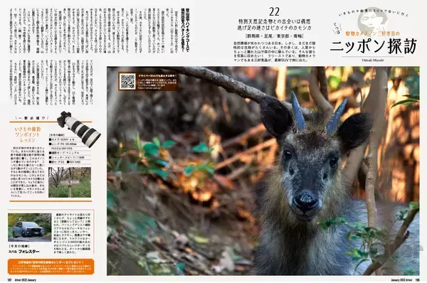 「数撃ちゃ当たる作戦でカモシカを連射！「三好秀昌のニッポン探訪・取材ウラ話　第22回〜カモシカ」」の画像