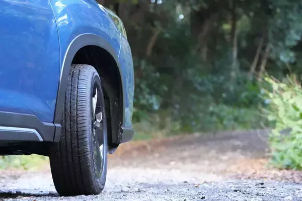 「数撃ちゃ当たる作戦でカモシカを連射！「三好秀昌のニッポン探訪・取材ウラ話　第22回〜カモシカ」」の画像