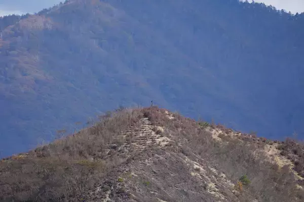 「数撃ちゃ当たる作戦でカモシカを連射！「三好秀昌のニッポン探訪・取材ウラ話　第22回〜カモシカ」」の画像
