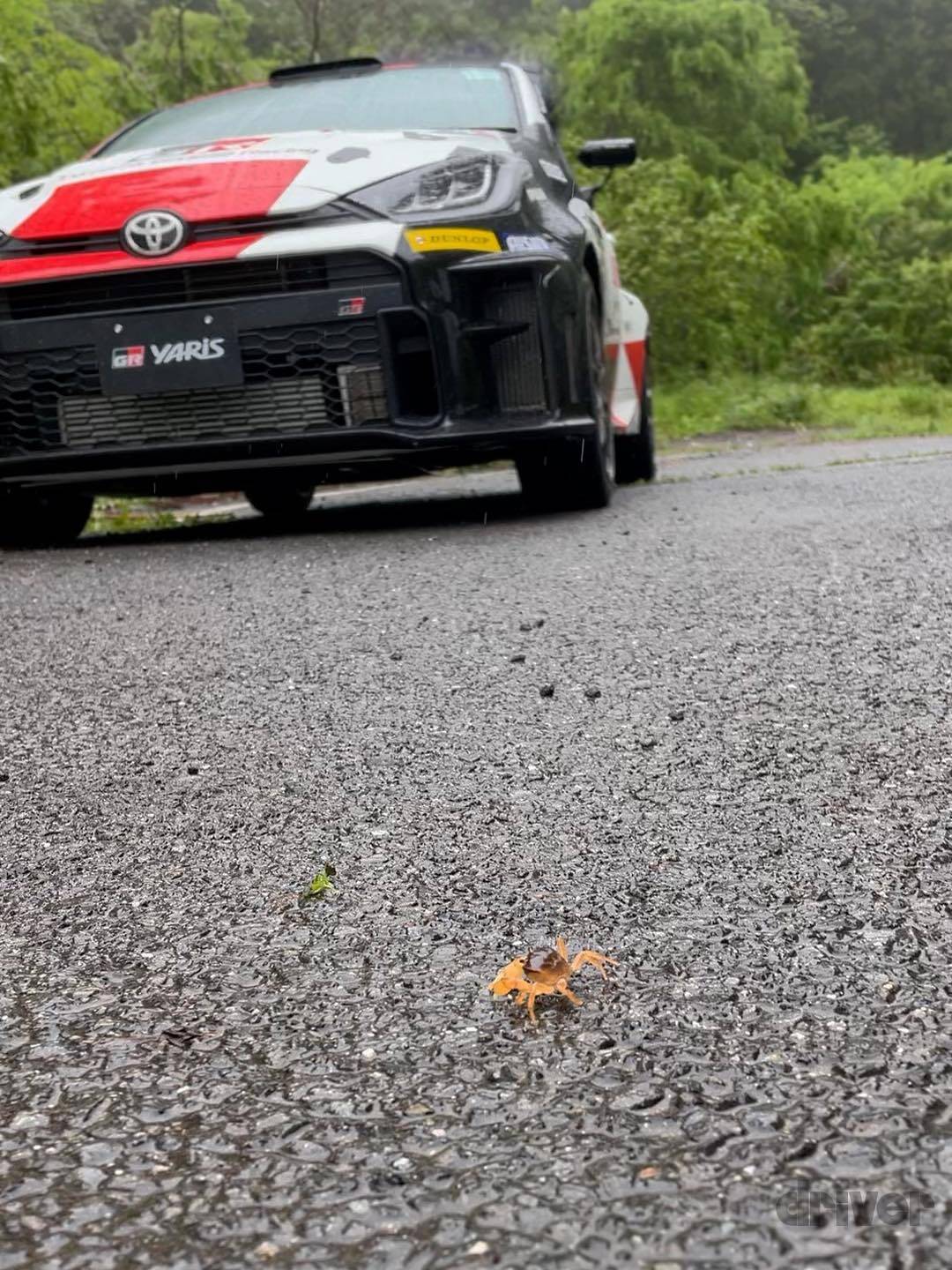 「記憶力に自信がないので…」トヨタとスバルの「ユウイチ日記」～あなたの知らないコ・ドライバーの世界～【Round03 久万高原】