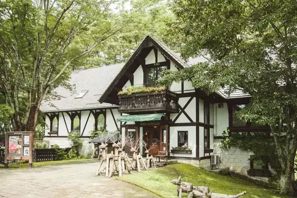 「“知恵の象徴”をギリギリ撮！ 「三好秀昌のニッポン探訪・取材ウラ話　第25回〜フクロウ」」の画像