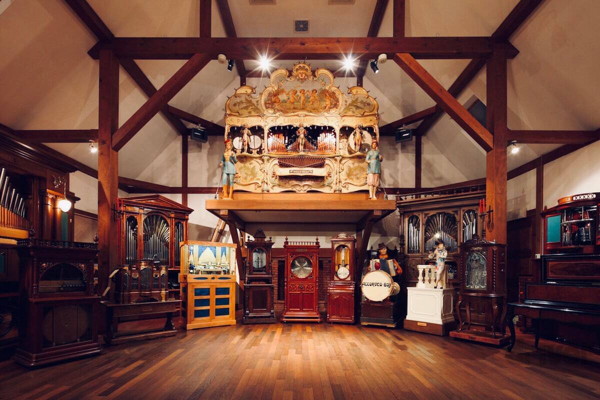 “知恵の象徴”をギリギリ撮！ 「三好秀昌のニッポン探訪・取材ウラ話　第25回〜フクロウ」