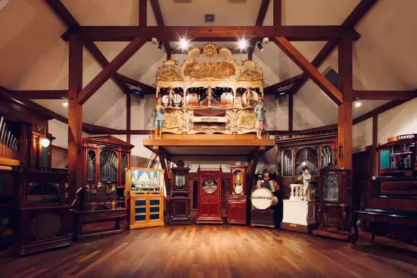 「“知恵の象徴”をギリギリ撮！ 「三好秀昌のニッポン探訪・取材ウラ話　第25回〜フクロウ」」の画像