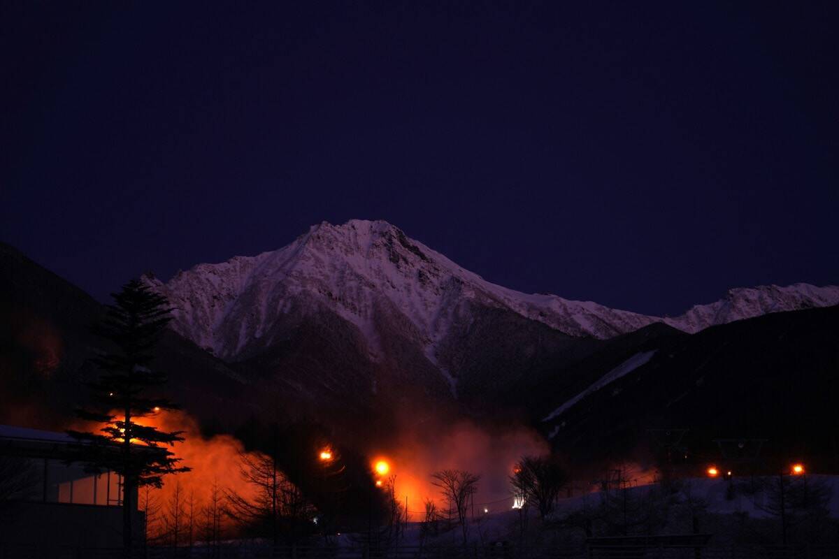 “知恵の象徴”をギリギリ撮！ 「三好秀昌のニッポン探訪・取材ウラ話　第25回〜フクロウ」