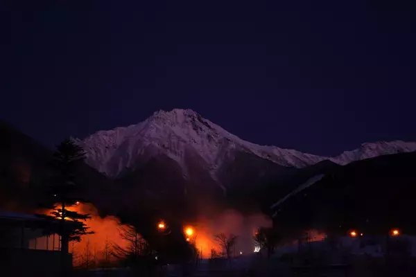 「“知恵の象徴”をギリギリ撮！ 「三好秀昌のニッポン探訪・取材ウラ話　第25回〜フクロウ」」の画像