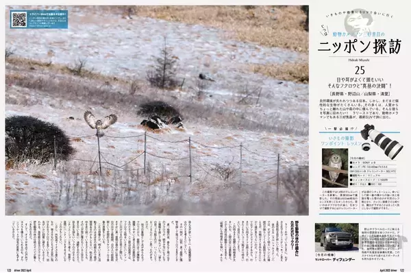 「“知恵の象徴”をギリギリ撮！ 「三好秀昌のニッポン探訪・取材ウラ話　第25回〜フクロウ」」の画像