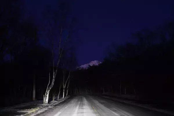 「“知恵の象徴”をギリギリ撮！ 「三好秀昌のニッポン探訪・取材ウラ話　第25回〜フクロウ」」の画像