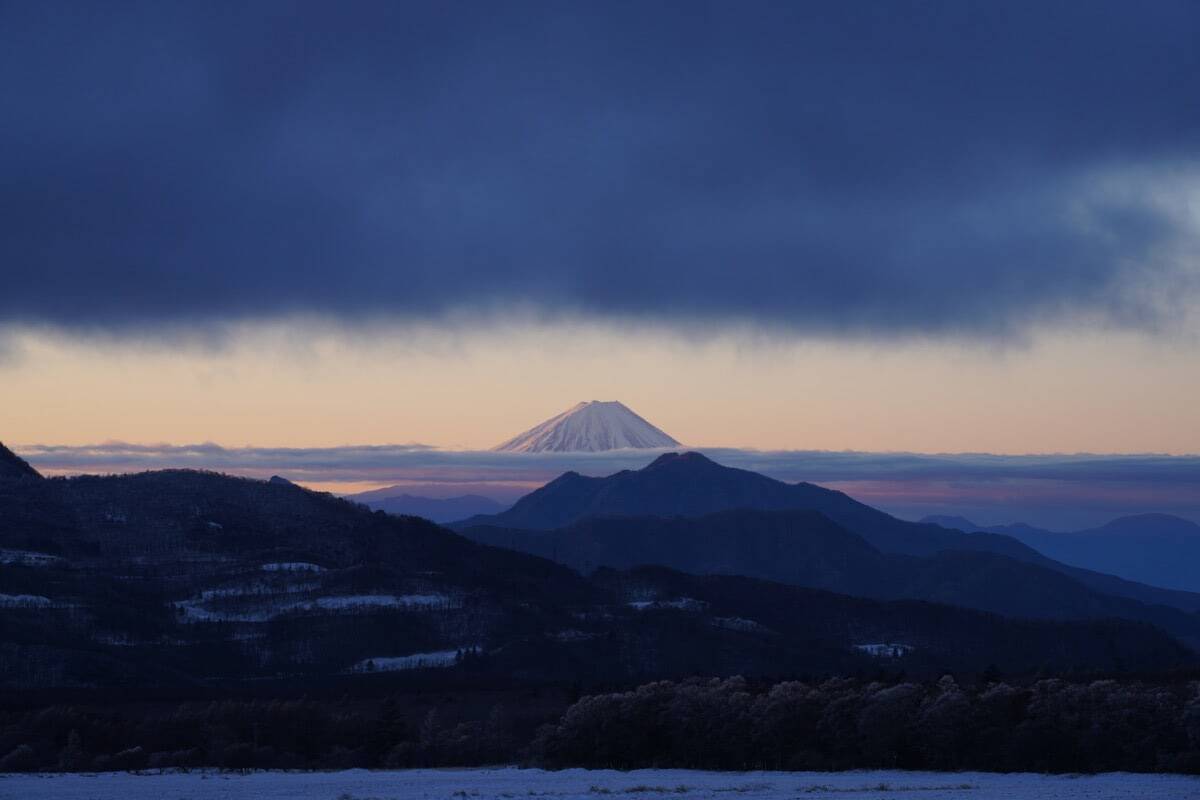 “知恵の象徴”をギリギリ撮！ 「三好秀昌のニッポン探訪・取材ウラ話　第25回〜フクロウ」