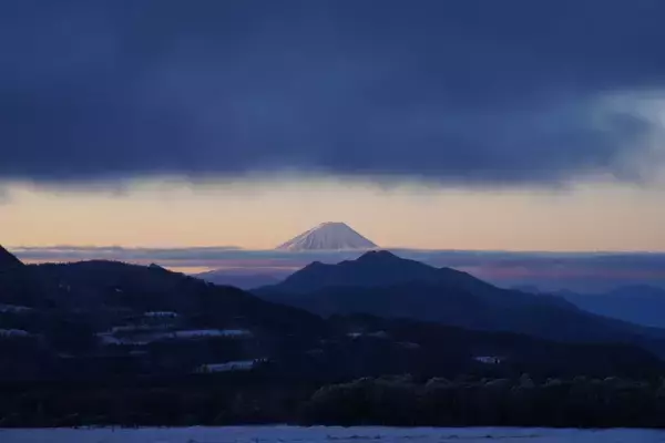 「“知恵の象徴”をギリギリ撮！ 「三好秀昌のニッポン探訪・取材ウラ話　第25回〜フクロウ」」の画像