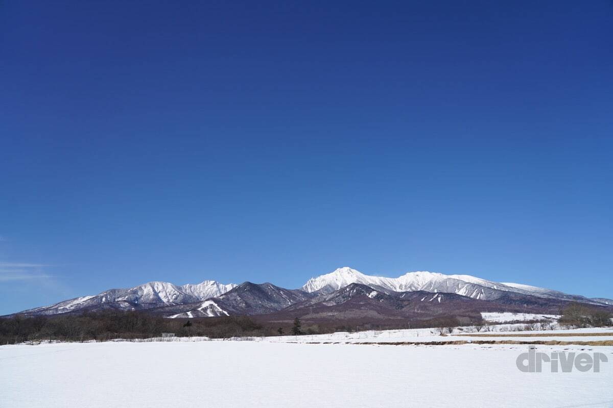 “知恵の象徴”をギリギリ撮！ 「三好秀昌のニッポン探訪・取材ウラ話　第25回〜フクロウ」