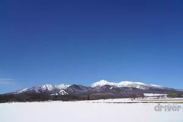 「“知恵の象徴”をギリギリ撮！ 「三好秀昌のニッポン探訪・取材ウラ話　第25回〜フクロウ」」の画像