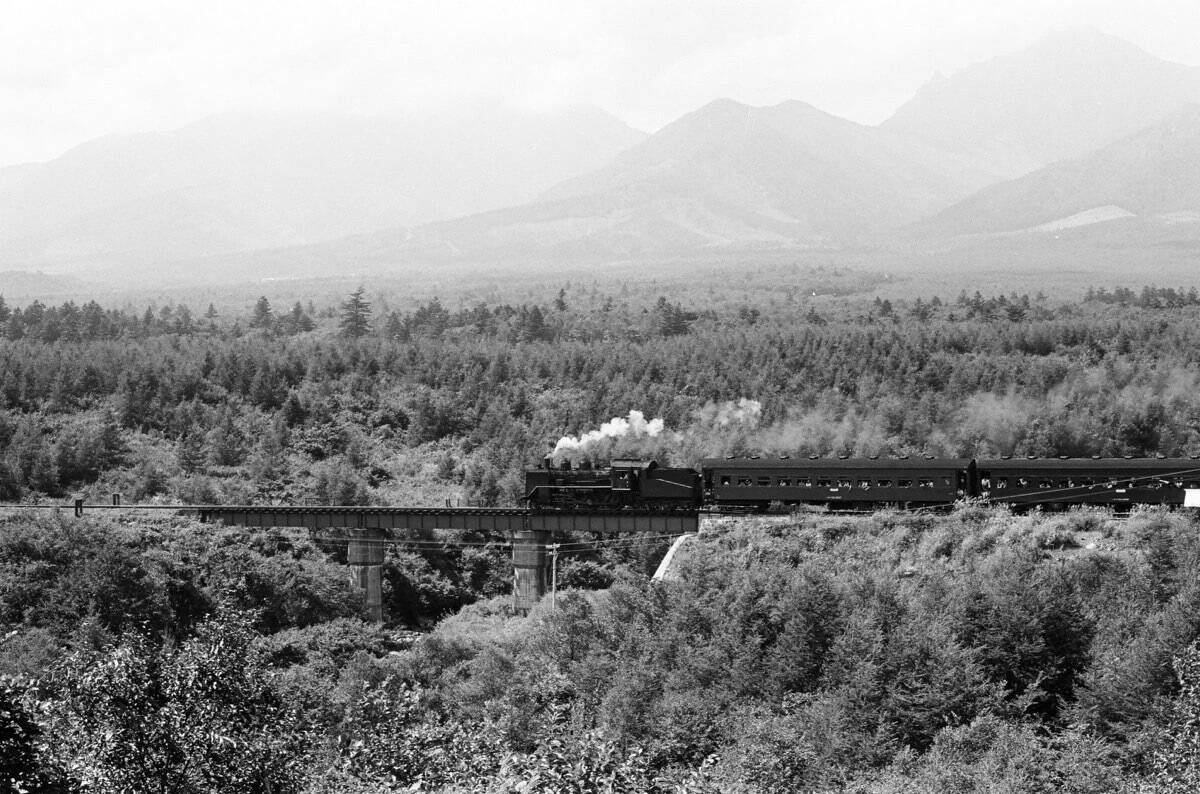 “知恵の象徴”をギリギリ撮！ 「三好秀昌のニッポン探訪・取材ウラ話　第25回〜フクロウ」