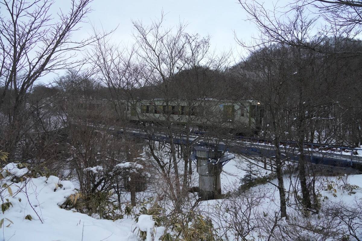 “知恵の象徴”をギリギリ撮！ 「三好秀昌のニッポン探訪・取材ウラ話　第25回〜フクロウ」