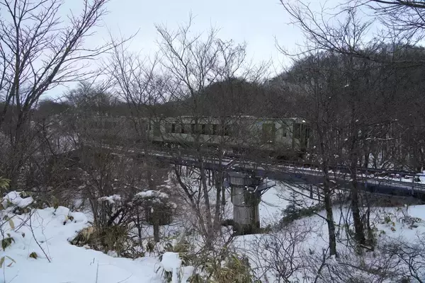 「“知恵の象徴”をギリギリ撮！ 「三好秀昌のニッポン探訪・取材ウラ話　第25回〜フクロウ」」の画像