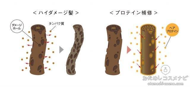 プロが認める実力派シャンプー タンパク質で補修する新発想の ヘアザプロテイン で仕上げた美容師のヘアスタイリング例をご紹介 年5月29日 エキサイトニュース 3 4