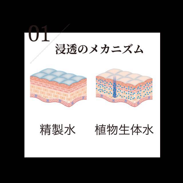 ウォーターレス化粧水って知ってる Arlavie化粧水 で植物のチカラが持つ浸透力を初体験 21年7月7日 エキサイトニュース