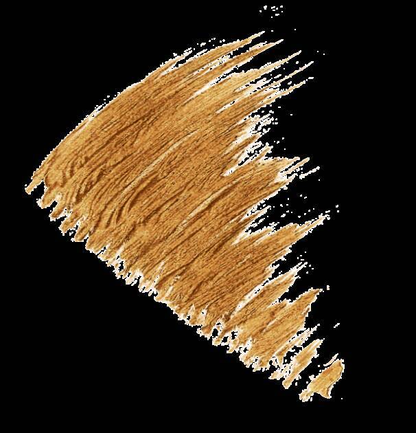 to/one(トーン)、ブランド4周年記念アニバーサリーキットが登場！春を感じるカラーマスカラ４色セット