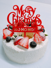 渡辺美奈代、DAISOの型で手作りクリスマスケーキ！完成度に称賛の声「綺麗で可愛い」「お店のよう」