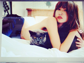 紗栄子、美肩あらわな“猫抱き”SHOTに「めちゃめちゃセクシー」「猫になりたい」