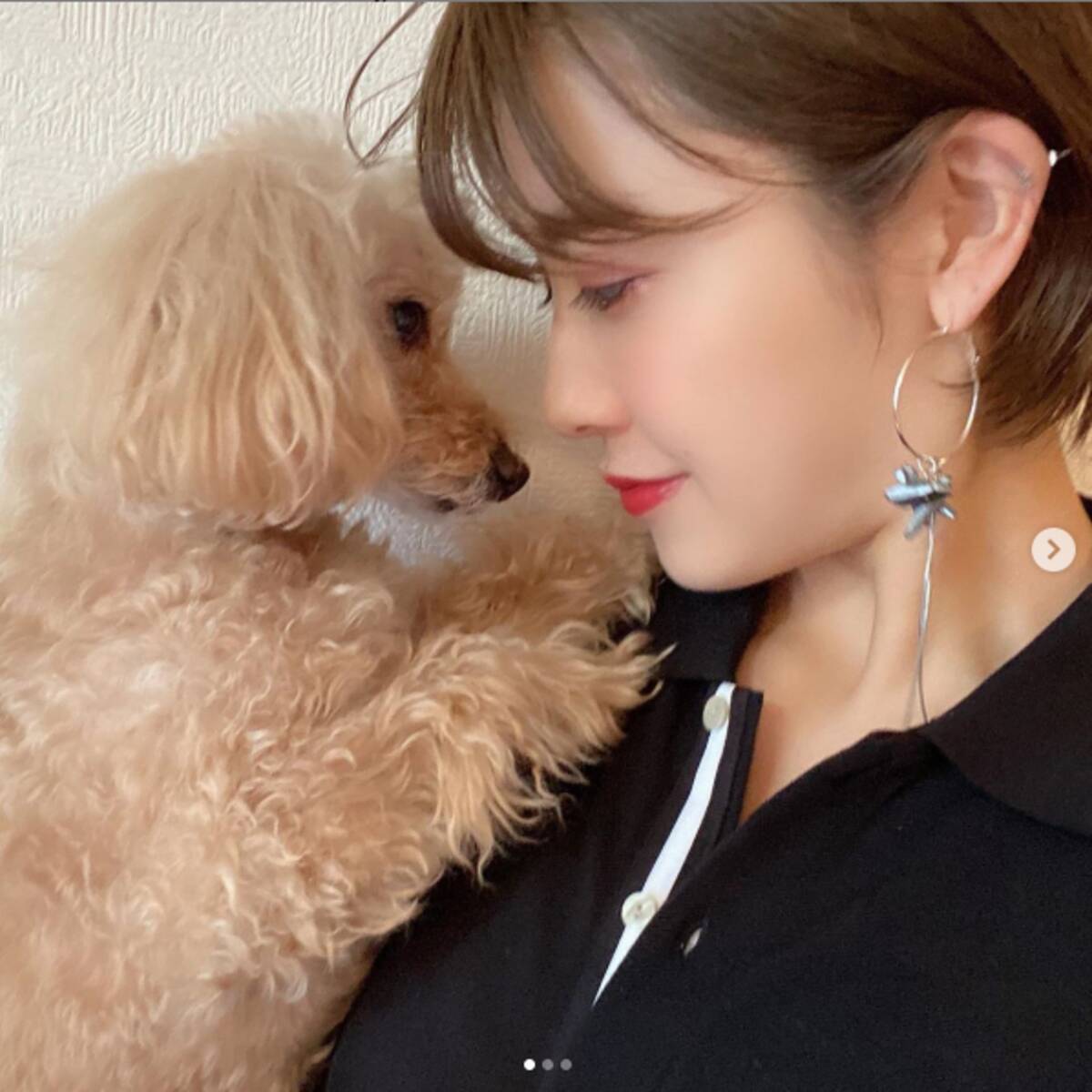 夏焼雅 襟足スッキリショートカット 愛犬との2shotに 可愛すぎる の声 年4月16日 エキサイトニュース