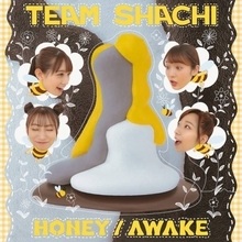 TEAM SHACHI、小出祐介作詞の新曲「HONEY」を配信リリース＆ライブアンセムの「AWAKE」も同時リリース決定