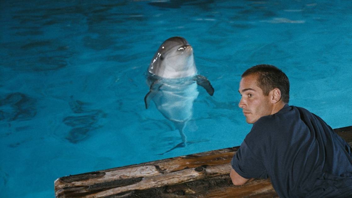 【2026年GW】「逗子海岸映画祭」4月24日〜5月6日開催｜映画と音楽が交差する13日間