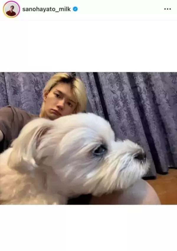 「メロすぎ」佐野勇斗、実家でまったりプラべSHOTにファン大歓喜「好きすぎて滅！！」