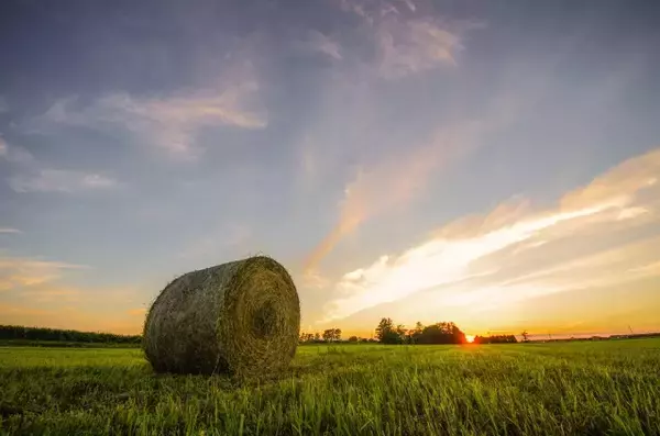 3年ぶりの規制なしGWで人出が大幅増！　アフターコロナに旅したいのはドコ？