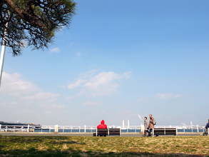 地域通貨の「デジタル化」は成功したか？導入から数年、見えてきた光と影