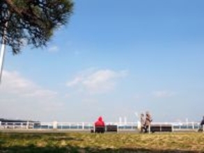 地域通貨の「デジタル化」は成功したか？導入から数年、見えてきた光と影