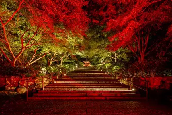 まちを夜間も顔のある場所に変える　パナソニックの挑戦