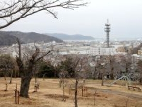 円安を武器に「世界」へ。地方の職人が、GAFA後の経済で主役になる理由