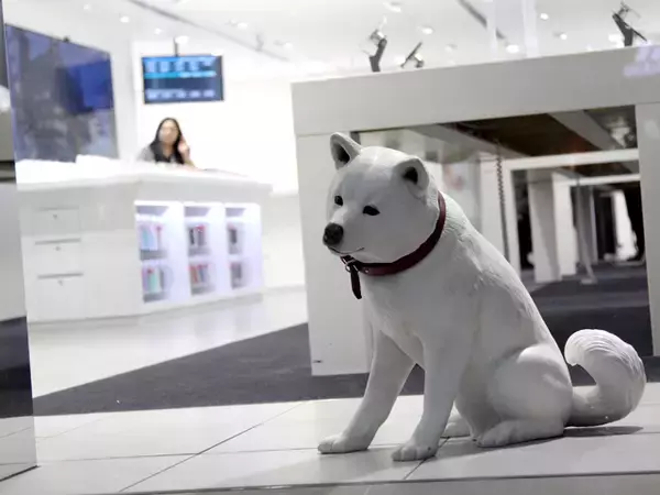 通信インフラは空へ　ソフトバンクが実証した新構造