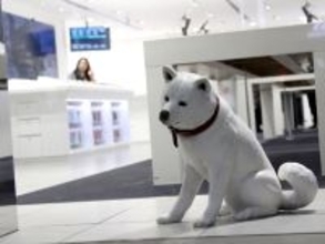 通信インフラは空へ　ソフトバンクが実証した新構造